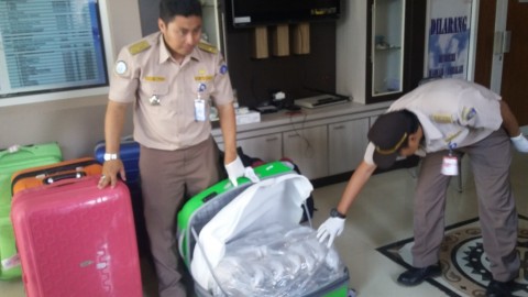 Petugas Bandara Juanda Gagalkan Penyelundupan 60 Ribu Bibit Lobster
