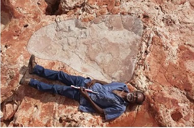 Jejak Kaki Dinosaurus Terbesar Ditemukan di 'Jurassic Park Australia'