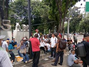 Peternak Ayam Klaim Merugi Sejak 2013