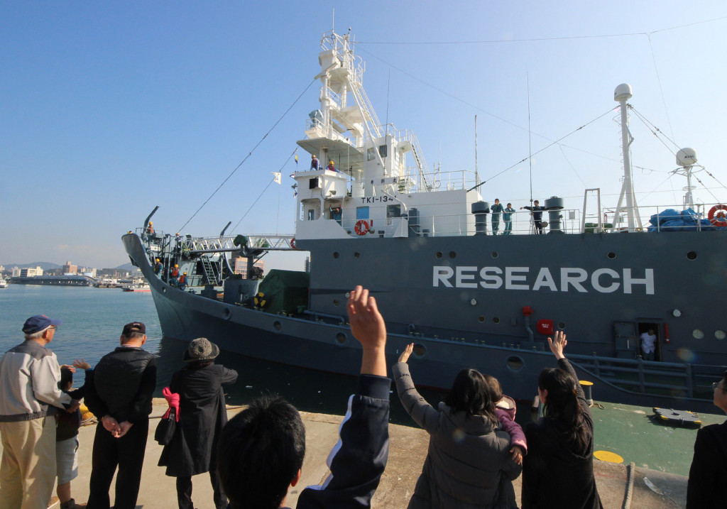 This file photo taken on December 1, 2015 shows a Japanese whaling ship leaving the port of Shimonoseki in Yamaguchi prefecture, western Japan to resume whale hunting in the Antarctic. (Photo:AFP/Jiji Press)