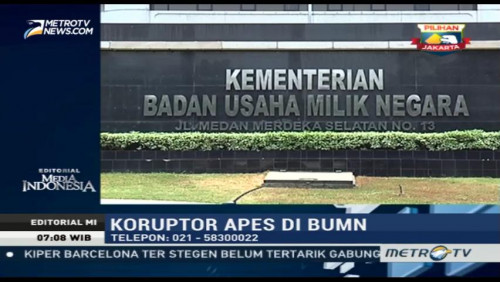 Koruptor Apes di BUMN