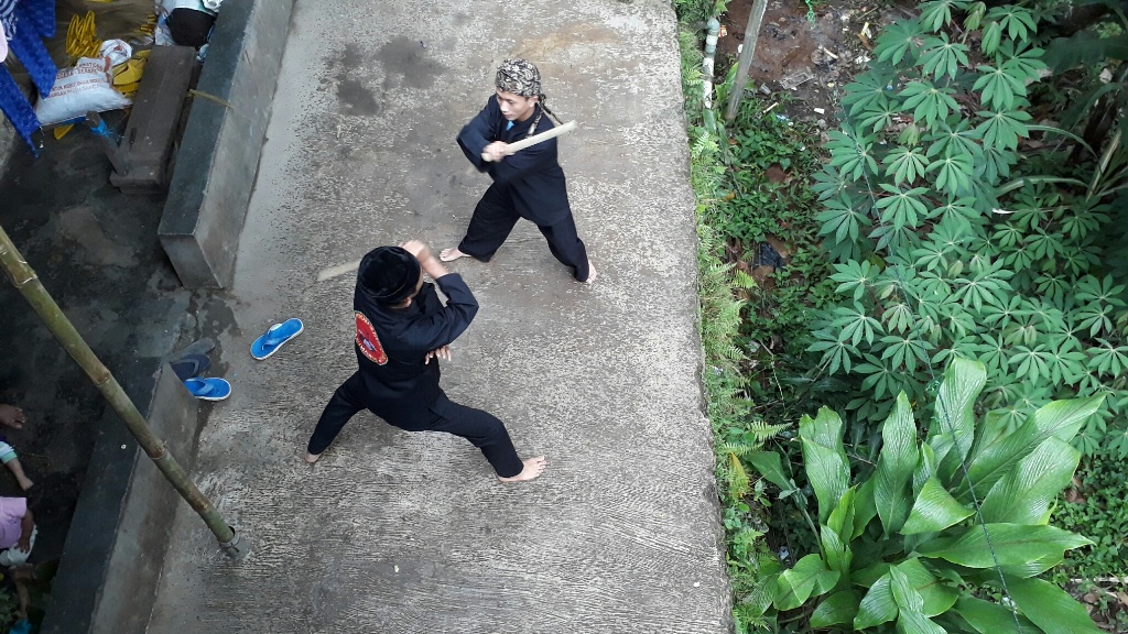 Ilustrasi. Jurus Pepedangan dalam seni bela diri silat Cimande. Foto: MI/Dede Susianti)