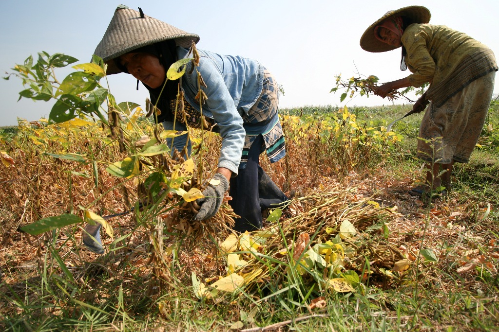 Ilustrasi. Foto: Antara/Prasetia