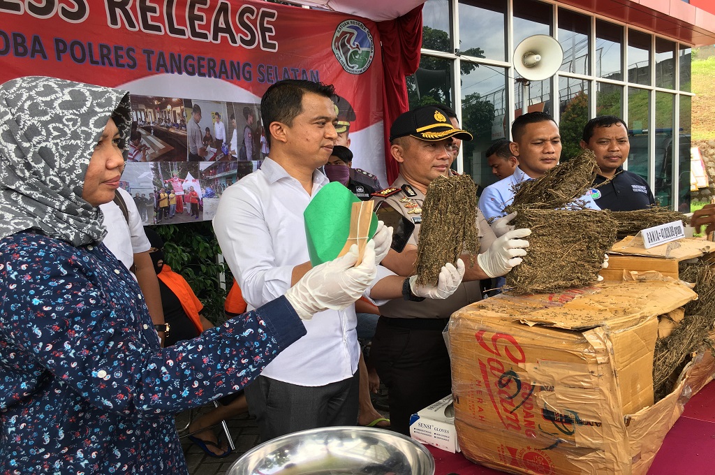 Kapolres Tangerang Selatan menunjukkan sejumlah kardus berisi ganja yang didatangkan dari Aceh, MTVN - Farhan Dwi