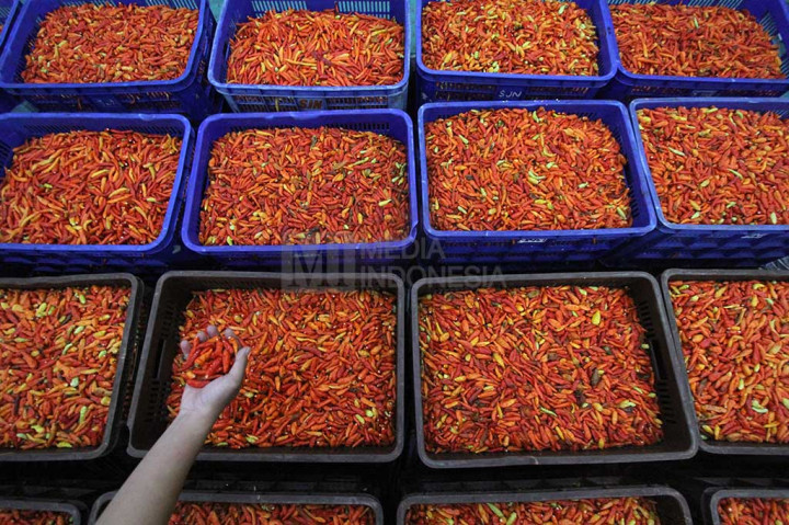 Harga Cabai Picu Deflasi di Madiun