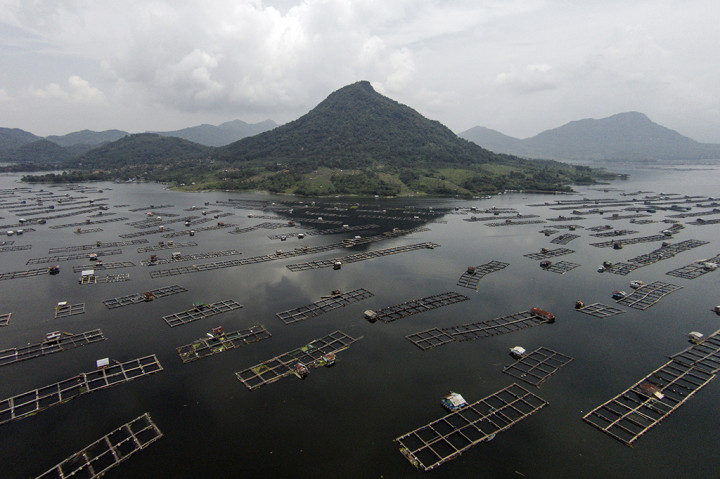 Keramba Jaring Apung di Waduk Jatiluhur Ditertibkan