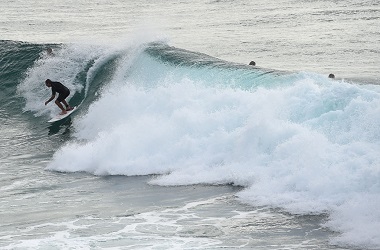 Serangan Hiu Meningkat, Australia Pertimbangkan Opsi Pemusnahan