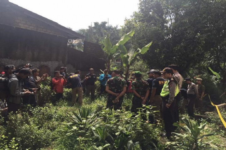 BNN Buru Pemilik Ladang Tanaman Narkoba di Puncak Bogor