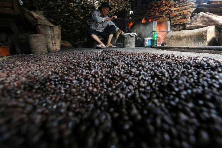 Kopi Robusta Empat Lawang Sumsel Siap Dipatenkan