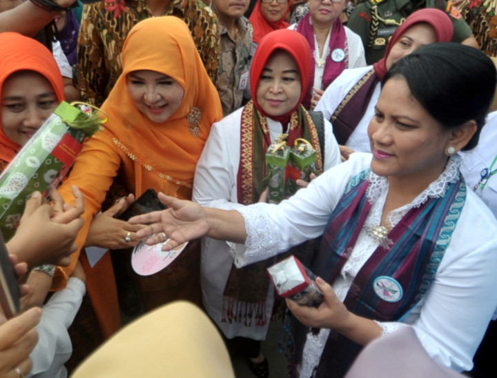 Ibu Negara Rayakan Hari Kartini di Kalsel