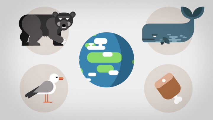 Selamat Hari Bumi, Mari Mengenal Isi Planet Ini Lebih Jauh