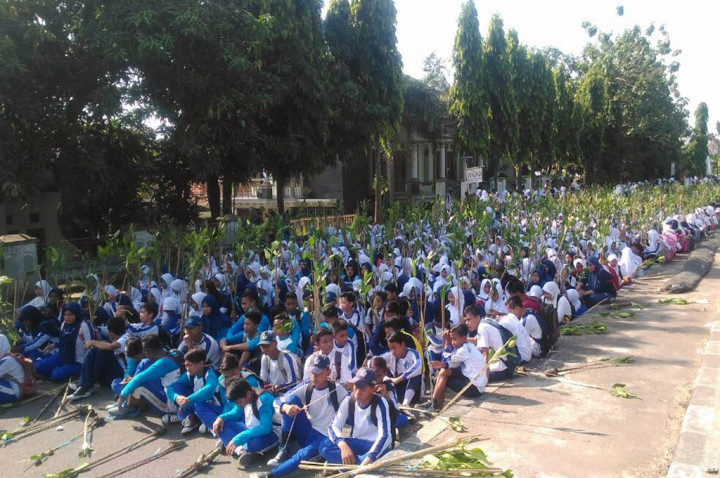 Penanaman Mangrove di Cirebon Pecahkan Rekor Dunia