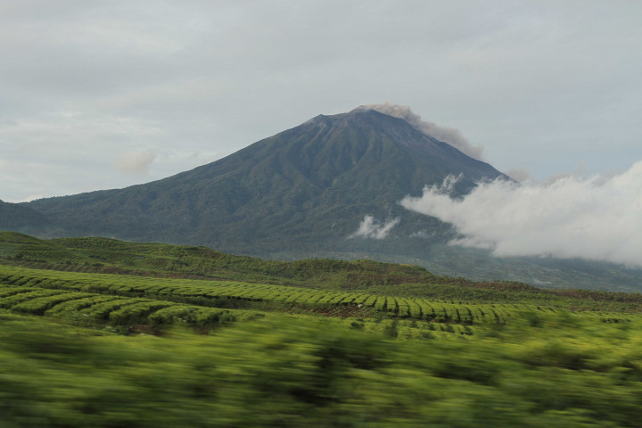 Tapal Batas Sumbar-Jambi Terkendala Wilayah Adat