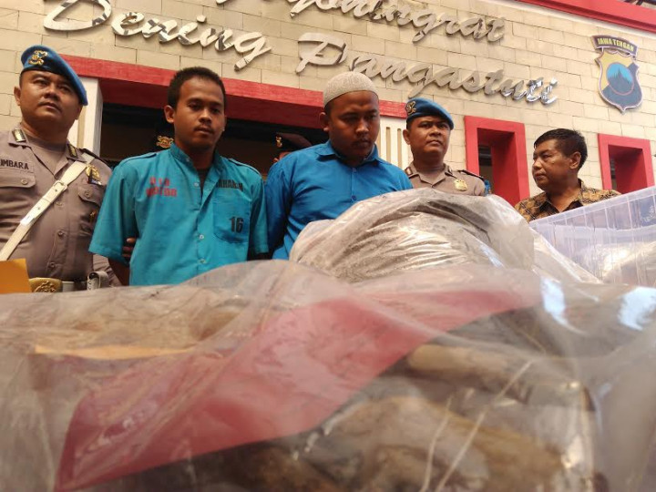 Kasus Kekerasan Mapala UII, Tersangka: Mana Ada Kakak Bunuh Adiknya!