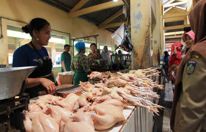 Stok Daging Ayam Potong di Jepara Terbatas