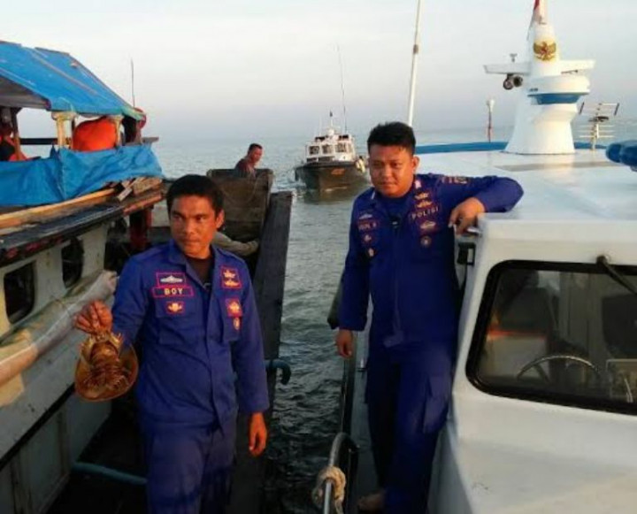 Polda Sumut Gagalkan Penyelundupan 300 Ekor Belangkas ke Thailand