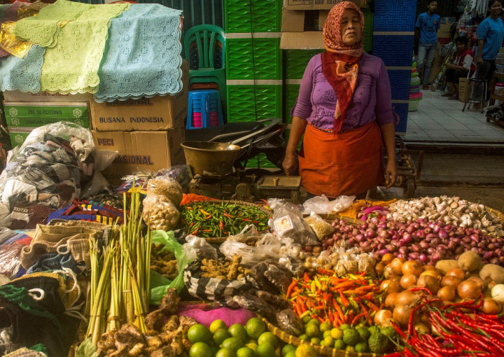 Pasokan Terbatas, Harga Bawang Putih Melonjak
