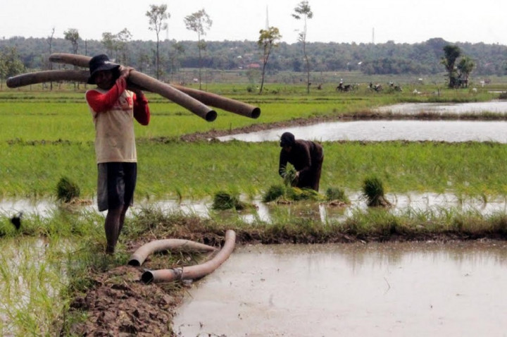 Lahan Bekas Pabrik Semen Bisa Ditanami Tiga Kali Setahun