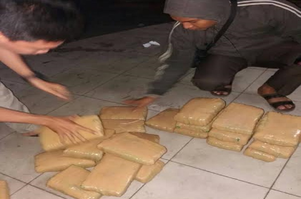 Puluhan paket berisi ganja ditemukan di Terminal Pinang Baris, Medan, MTVN - Farida Noris