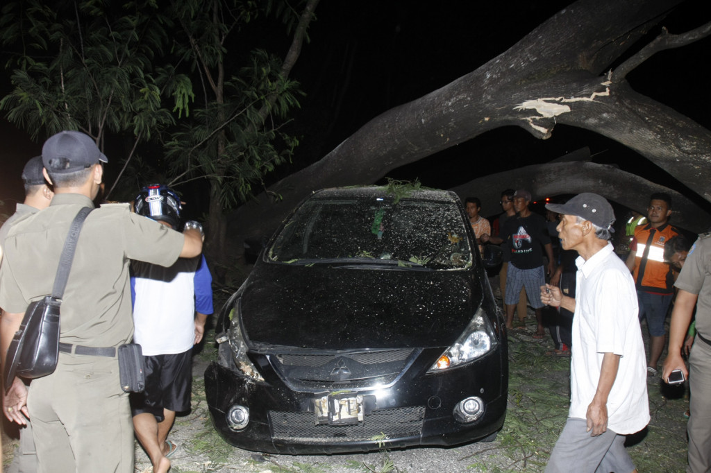 Pohon tumbang di dekat jalan layang UI, Sabtu malam 2 Februari 2017. Foto: MI/Bary Fathahilah