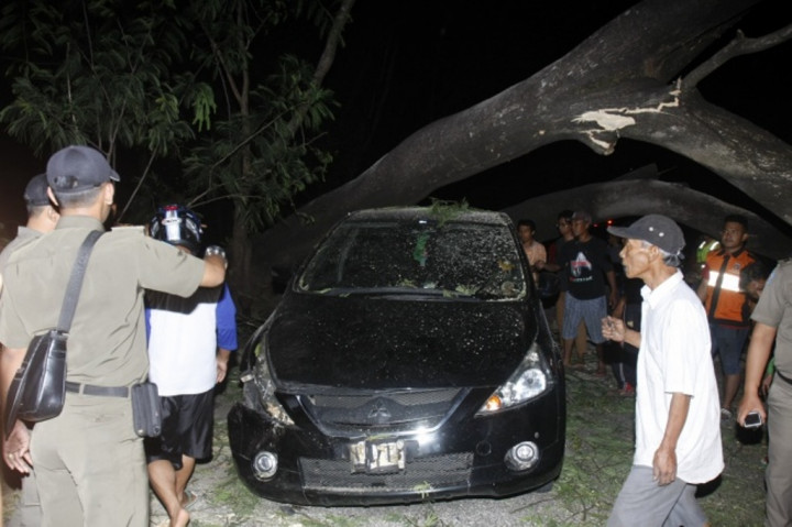 Pemotongan Pohon Terkendala Agenda UI