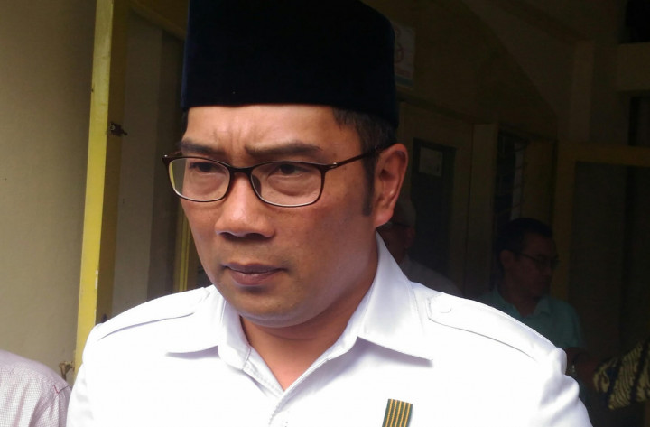 Emil Siap Bersanding dengan Dedi Mulyadi di Pilgub Jabar