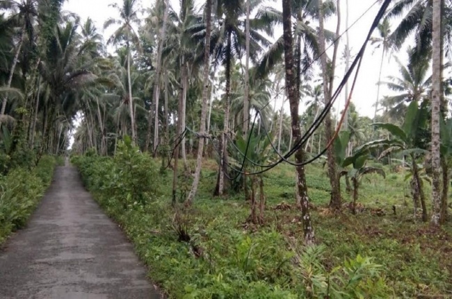 Listrik Putus Tiga Bulan, Pereknomian Lima Desa di Nias Utara Lumpuh