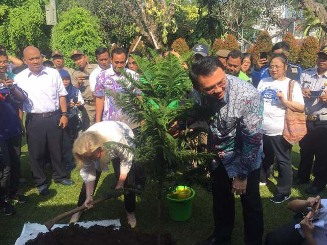 Gubernur DKI Jakarta Basuki Tjahaja Purnama saat menanam pohon di Taman Menteng, Jakarta Pusat. Foto: MTVN/LB Ciputri.