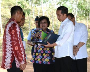 Presiden Minta Penerima Izin Hutan Gunakan Lahan Secara Produktif