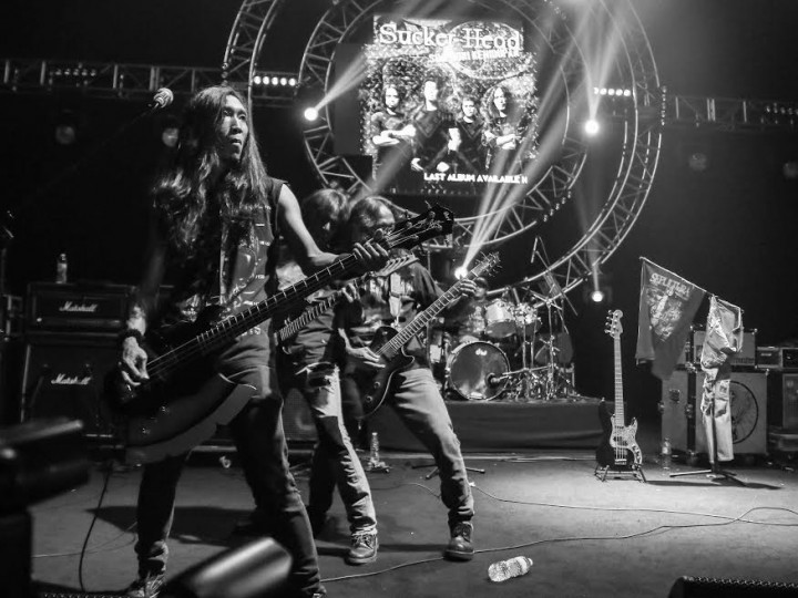 Terimakasih, Sucker Head!