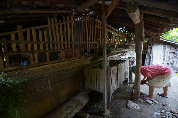 224 Orang di Sumut Dipasung