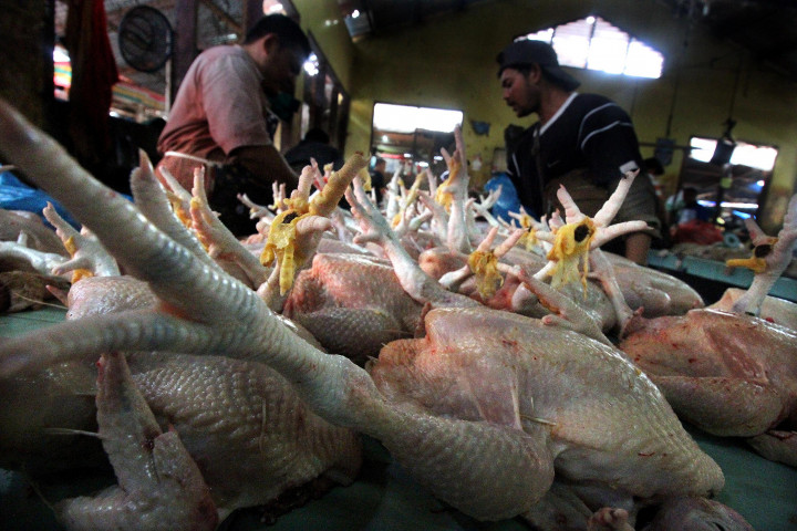 Harga Daging Ayam di Purwokerto Kembali Naik