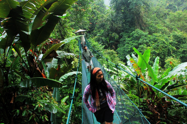 Kepala BB Gunung Gede Pangrango: Status Tersangka Pencari Cacing tak Sembarangan