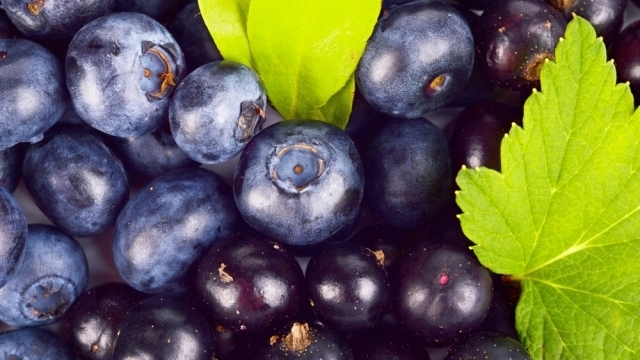 4 Advantages of Blueberries