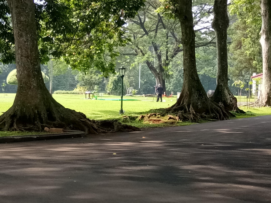 Lokasi penanaman pohon Ulin/MTVN/Achmad Zulfikar Fazli