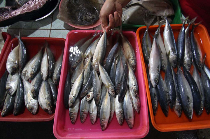 Harga Ikan di Medan Mulai Naik