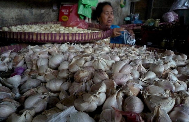 Harga Bawang Putih di Pontianak Capai Rp120 Ribu/Kg