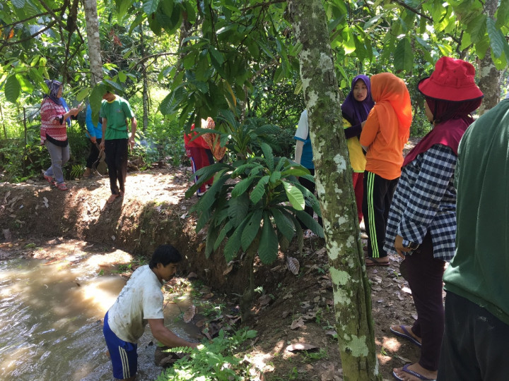 Lima Mahasiswa Ini Cetuskan Program Cerdas Pembasmi Malaria