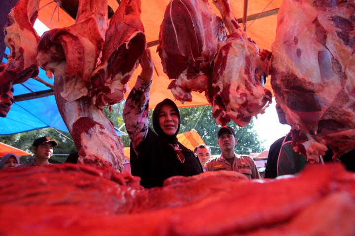 Bulog Datangkan Daging Kerbau dari India