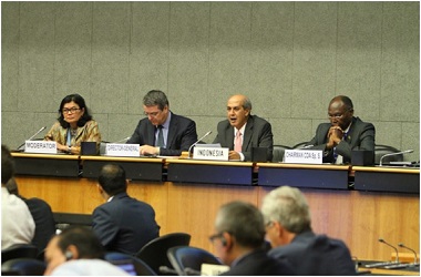 Indonesia dan G33 Serukan Kedaulatan dan Keamanan Pangan di WTO