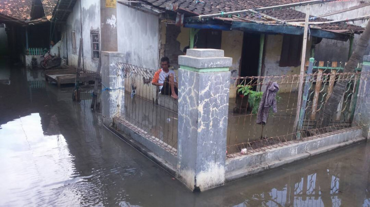 Empat Hari Rumah Warga Kendal Tergenang Rob
