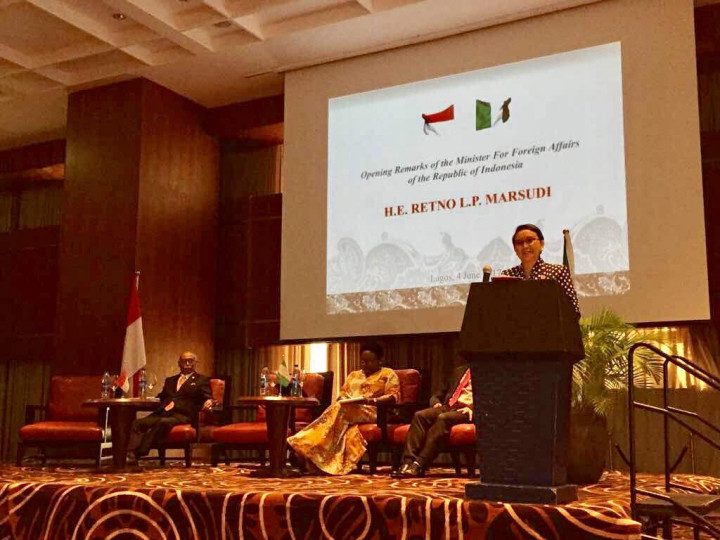 Peluang Besar di Hubungan Ekonomi RI-Nigeria