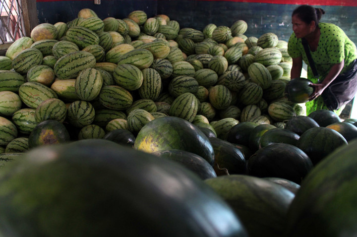 Permintaan Semangka Meningkat saat Ramadan