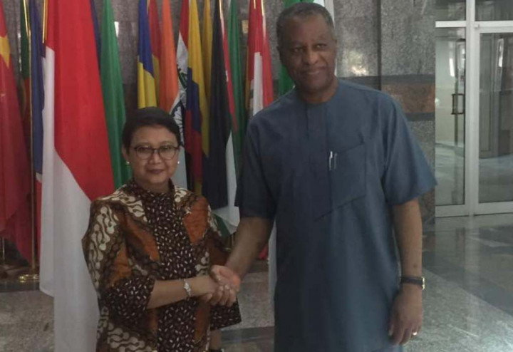 Kerja Sama Ekonomi Indonesia-Nigeria Saling Melengkapi