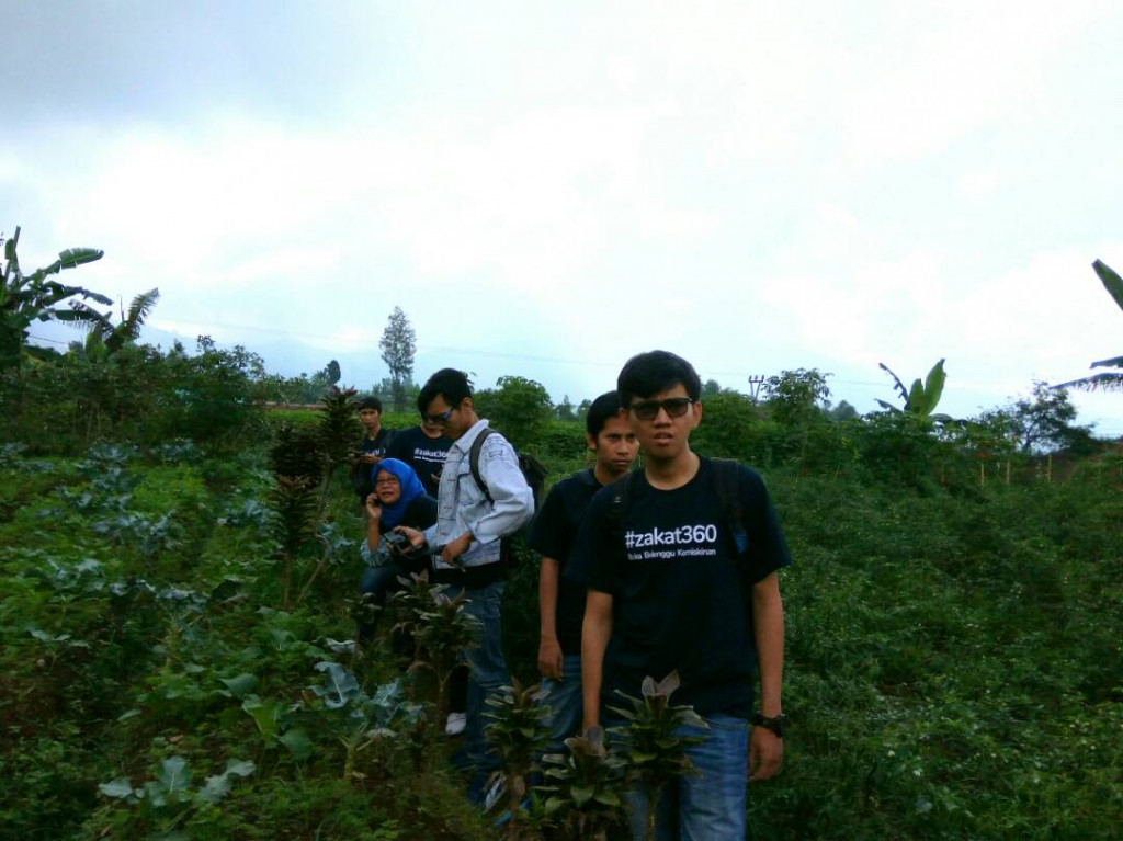 Tim Karya Masyarakat Mandiri (KMM) Dompet Dhuafa mendampingi proses produksi sayur mayur/Dompet Dhuafa