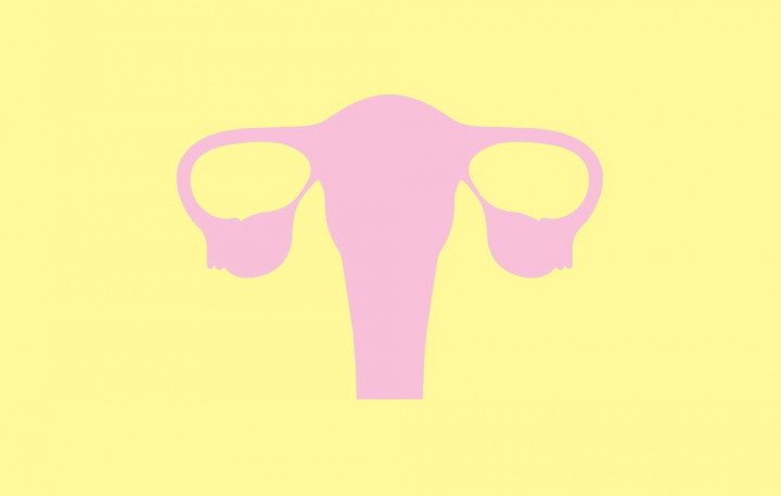 Mengenal Kanker Serviks, Penyakit yang Merenggut Nyawa  Julia Perez