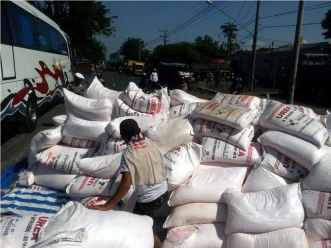 Petani Aceh Keluhkan Kelangkaan Pupuk Bersubsidi