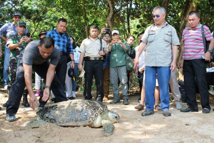 Panglima TNI: Hutan Punya Nilai Strategis
