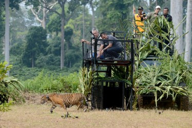 Kunjungi Sekolah di Pengekahan, Panglima TNI Sampaikan Pentingnya Hutan
