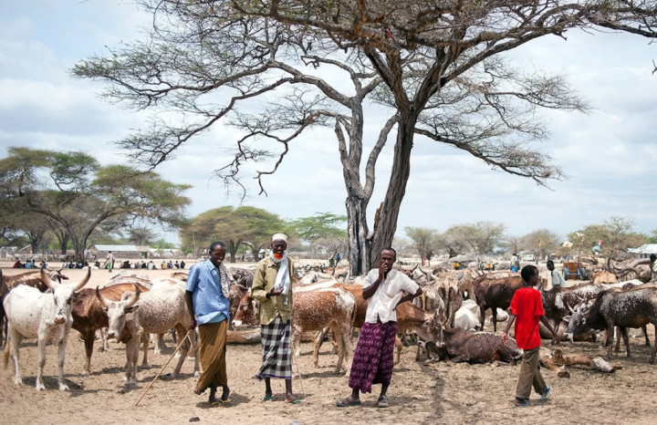 Kerasnya Kehidupan Seorang Gembala dari Somalia